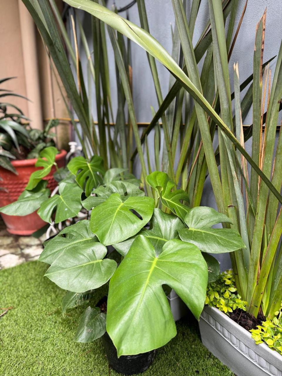 Hotel "Ala Residencias" Chetumal Zewnętrze zdjęcie